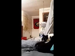 Screen Grab from willmc2026