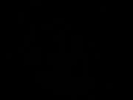 Screen Grab from willow1990a