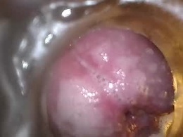 Screen Grab from xoxowtf