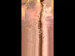 Screen Grab from xxjessiebugxx