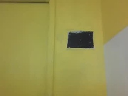 Screen Grab from yumamaniac